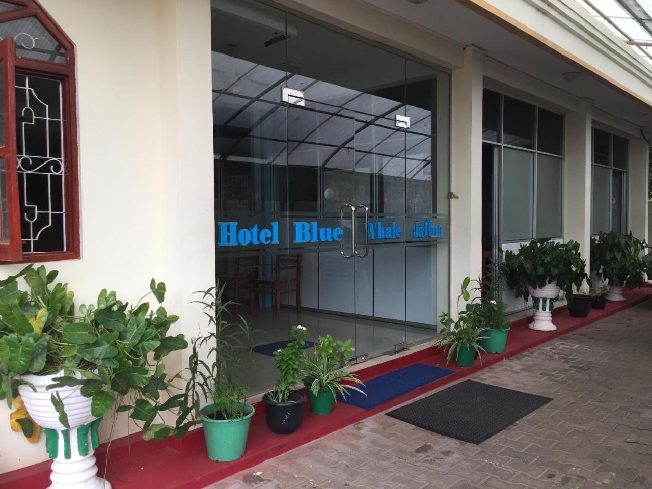 Hotel Blue Whale Jaffna Eksteriør billede